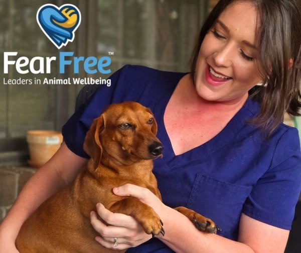 Proverbs 16:3 Fear Free Pet Care Image Sarah Roberts