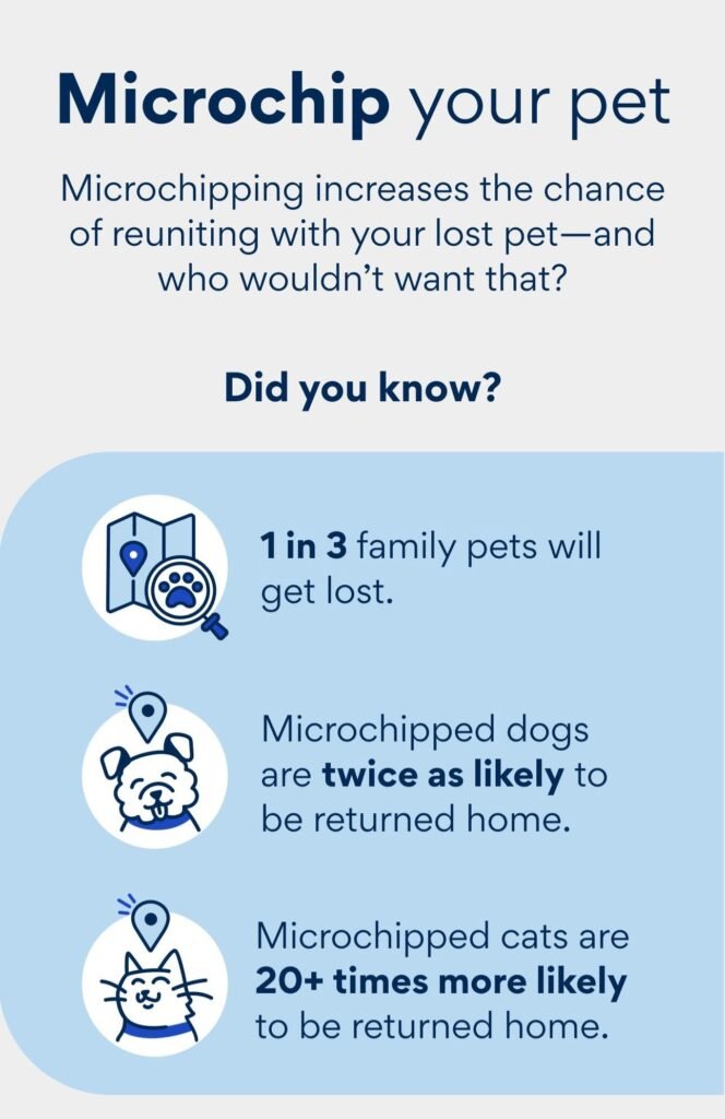 Microchipping your pet can help bring them home if they are lost.